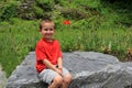 Adorable little boy sitting on rocks in flower garden Royalty Free Stock Photo