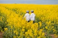 Adorable little boy, standing in yellow oilseed field, back