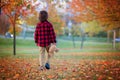 Adorable little boy with teddy bear in the park on an autumn day Royalty Free Stock Photo