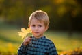 Adorable little boy with teddy bear in the park on an autumn day Royalty Free Stock Photo