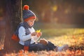 Adorable little boy with teddy bear in park on autumn day Royalty Free Stock Photo