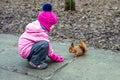 Little girl feeding squirrel with nuts in forest. Royalty Free Stock Photo