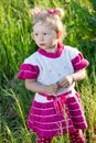 Adorable little child girl on grass on meadow. Summer green nature background. Royalty Free Stock Photo