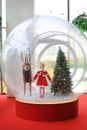 Adorable little child girl in santa costume dress playing in big winter Snow globe with reindeer on christmas time. Merry Xmas and Royalty Free Stock Photo