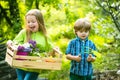Adorable little Children playing with her toy garden tools in a garden on sunny spring day. Two young farmers. Sister Royalty Free Stock Photo