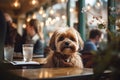 Adorable little dog at cafe waiting his owner