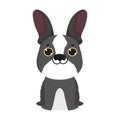 Adorable little dog domestic sitting cartoon pets