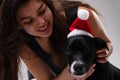 Adorable little dog wearing a red Santa Hat for Christmas Royalty Free Stock Photo