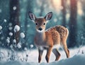 Adorable little fawn in snowy forest at winter time, close up Royalty Free Stock Photo