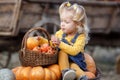 Cute little girl having fun with huge pumpkins on a pumpkin patch. Royalty Free Stock Photo