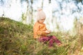 Adorable little girl in the autumn forest, sunny day. Royalty Free Stock Photo