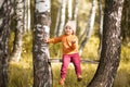 Adorable little girl in the autumn forest, sunny day. Royalty Free Stock Photo