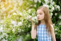 Adorable little girl in blooming apple tree garden on beautiful spring day Royalty Free Stock Photo