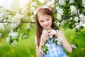 Adorable little girl in blooming apple tree garden on beautiful spring day Royalty Free Stock Photo