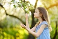 Adorable little girl in blooming apple tree garden on beautiful spring day Royalty Free Stock Photo