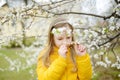 Adorable little girl in blooming apple tree garden on beautiful spring day. Child picking fresh apple tree flowers at spring Royalty Free Stock Photo