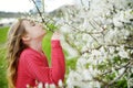 Adorable little girl in blooming apple tree garden on beautiful spring day Royalty Free Stock Photo