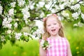 Adorable little girl in blooming apple tree garden on spring day Royalty Free Stock Photo
