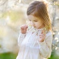 Adorable little girl in blooming cherry garden Royalty Free Stock Photo