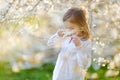 Adorable little girl in blooming cherry garden Royalty Free Stock Photo