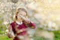 Adorable little girl in blooming cherry tree garden on beautiful spring day Royalty Free Stock Photo