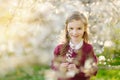 Adorable little girl in blooming cherry tree garden on beautiful spring day Royalty Free Stock Photo