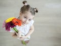 Adorable little girl with cute smile and face expression holding bouquet of pink, purple, yellow, orange gerbera daisies Royalty Free Stock Photo