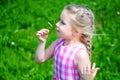 Adorable little girl with daisy on sunny summer day