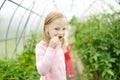 Adorable little girl eating fresh organic cucumber in a greenhouse on summer evening Royalty Free Stock Photo