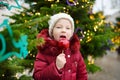 Adorable little girl eating red apple covered with sugar icing on traditional Christmas market. Royalty Free Stock Photo