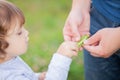 Adorable little girl eating sweet peas from farher`s hands Royalty Free Stock Photo