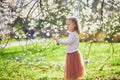 Adorable little girl enjoying nice and sunny spring day near apple tree in full bloom Royalty Free Stock Photo