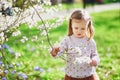 Adorable little girl enjoying nice and sunny spring day near apple tree in full bloom Royalty Free Stock Photo