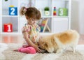 Adorable little girl feeding cute dog Royalty Free Stock Photo