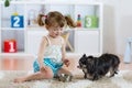 Adorable little girl feeding cute dog Royalty Free Stock Photo