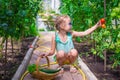 Adorable little girl harvesting in the greenhouse Royalty Free Stock Photo