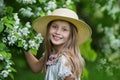 Adorable little girl in a hat in a blooming apple tree garden on a beautiful spring day. Cute child picking fresh apple tree Royalty Free Stock Photo