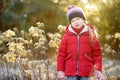 Adorable little girl having fun in beautiful winter park on cold and sunny winter day. Cute child playing in a snow Royalty Free Stock Photo