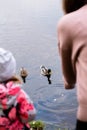 Adorable little girl and her mother feed ducks in the river. Leisure with children.