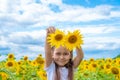 Adorable little girl holding Sunflowers in the garden. Closeup kid portrait, baby with two sunflowers. Concept of summer Royalty Free Stock Photo