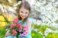 Adorable little girl holding tulips for her mother in blooming cherry garden Royalty Free Stock Photo