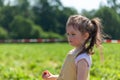 Adorable little girl picking strawberries in the field on a sunny summer day Royalty Free Stock Photo