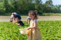 Adorable little girl picking strawberries on organic strawberry farm on sunny summer day Royalty Free Stock Photo