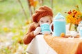 Adorable little girl on picnic in autumn park. Cute little girl having tea party outside in the autumn garden. Girl drinking tea