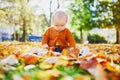 Adorable little girl playing with yellow autumn leaves Royalty Free Stock Photo