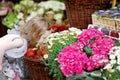 Adorable little girl smelling flowers Royalty Free Stock Photo