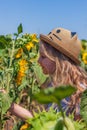 Adorable little girl in straw hat, blue plaid summer dress in a field countryside. Child with long hair smells sunflower. Royalty Free Stock Photo