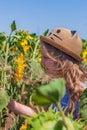 Adorable little girl in straw hat, blue plaid summer dress in a field countryside. Child with long hair smells sunflower Royalty Free Stock Photo