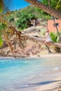 Adorable little girl sitting on palm tree during summer vacation on white beach Royalty Free Stock Photo