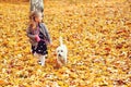 Adorable little girl walking with her dog together in autumn forest. Family pet care. Colorful autumn leaves Royalty Free Stock Photo